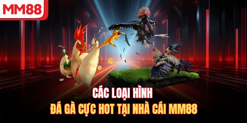 Các loại hình đá gà cực hot tại nhà cái MM88